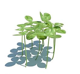 植物模型 小草模型圖片
