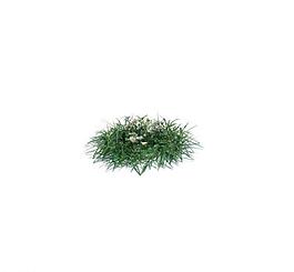 植物模型 小草模型圖片