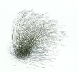 植物模型 小草模型圖片