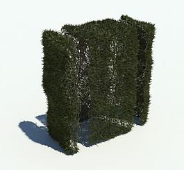 植物模型 草模型圖片