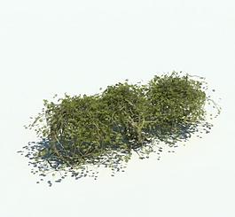 植物模型 草模型圖片