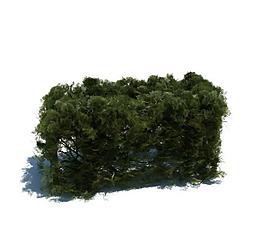 植物模型 草模型圖片