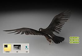 老鷹黑鷹雄鷹3d三維模型建模圖片
