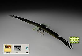 雄鷹老鷹蒼鷹3d三維模型建模圖片