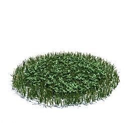 植物模型 小草模型圖片