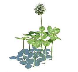 植物模型 小草模型圖片