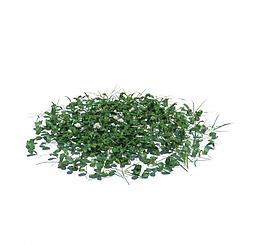 植物模型 小草模型圖片