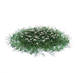植物模型 小草模型圖片