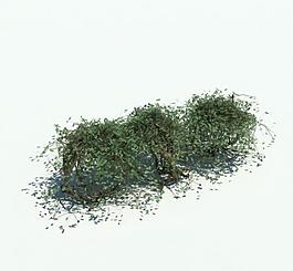植物模型 草模型圖片