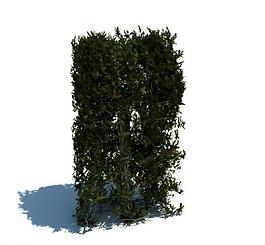 植物模型 草模型圖片