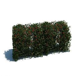 植物模型 草模型圖片