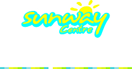 矢量洗衣LOGO