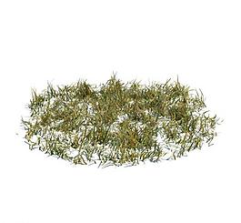 植物模型 小草模型圖片