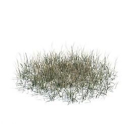 植物模型 小草模型圖片