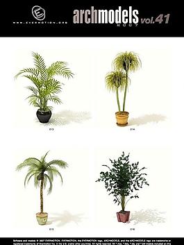 三維植物模型素材圖片