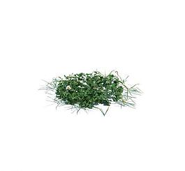 植物模型 小草模型圖片