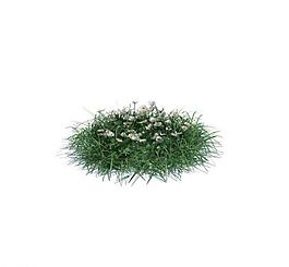 植物模型 小草模型圖片