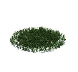 植物模型 小草模型圖片