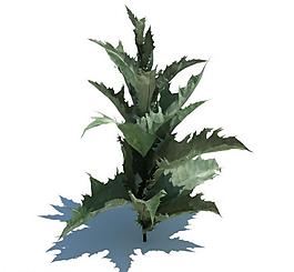植物模型 小草模型圖片