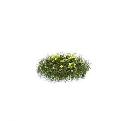 植物模型 小草模型圖片