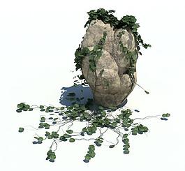 植物模型 草模型圖片