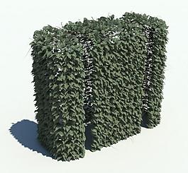 植物模型 草模型圖片