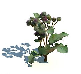 植物模型 草模型圖片
