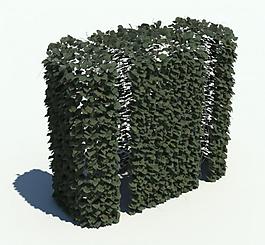 植物模型 草模型圖片