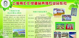 养殖绿色展板图片