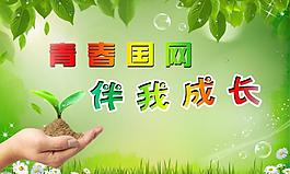 青春国网伴我成长展板图片
