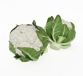 花白菜圖片