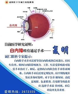 眼科知識展板圖片