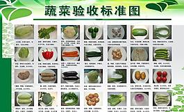 蔬菜驗收標準展板圖片