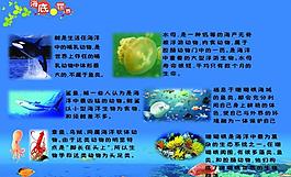 学校知识展板图片