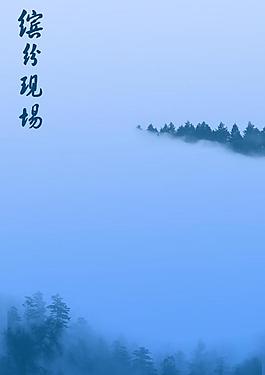 树林 照片展板图片