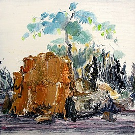 山村小景