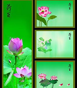 荷花展板圖片