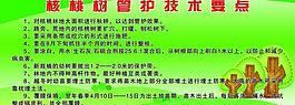 植樹造林 展板圖片
