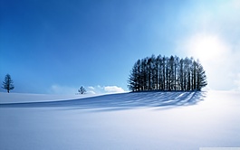 背景