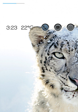 雪豹