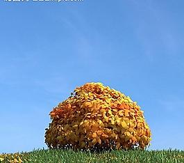 秋季樹木模型 紅葉圖片