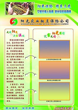 陽光保險展板圖片