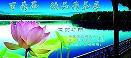 荷花展板圖片