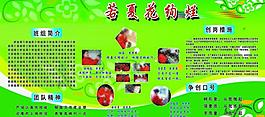 公司簡介展板圖片