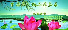 荷花展板圖片