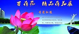 荷花展板圖片