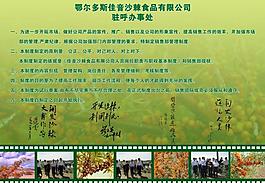 沙棘公司展板图片