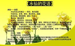 鲜花展板图片