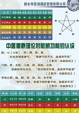 中醫五行展板圖片