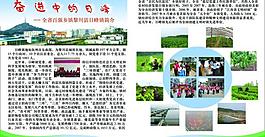 企业宣传展板图片